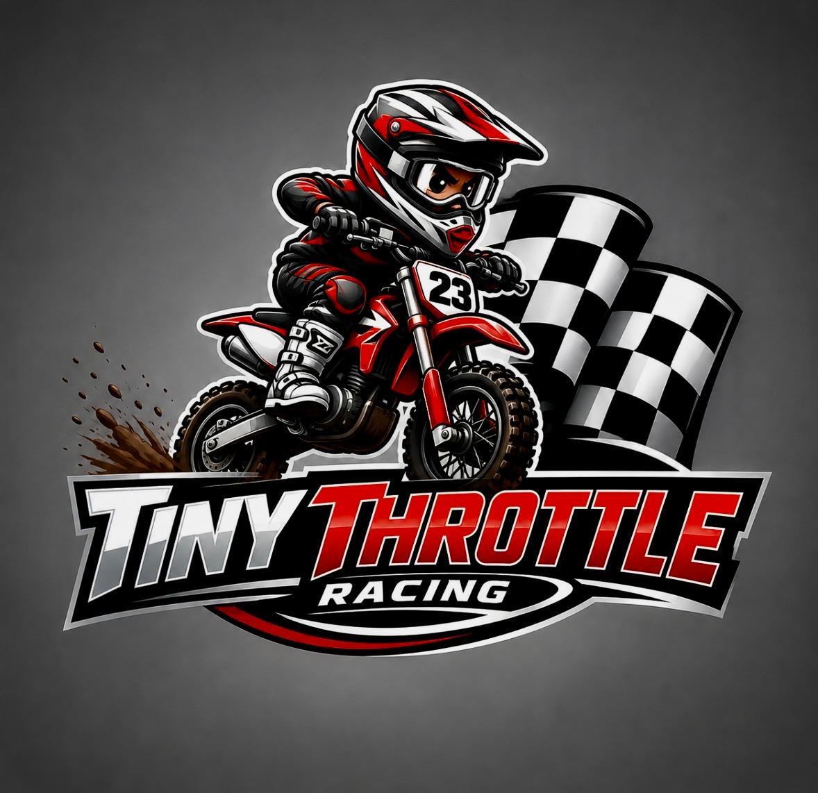 Tiny Throttle Racing - RD3 image 1