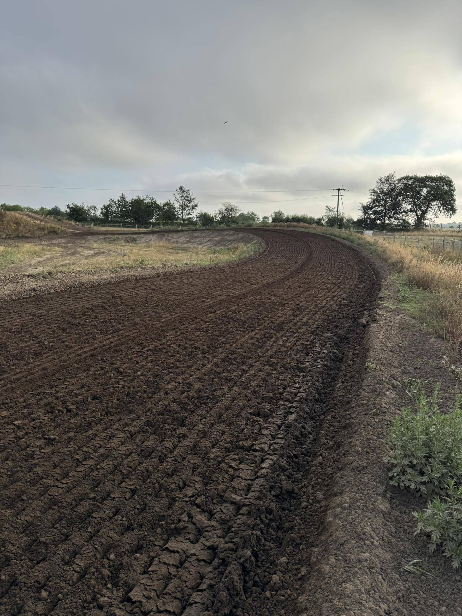 Whitley MX gallery image 2