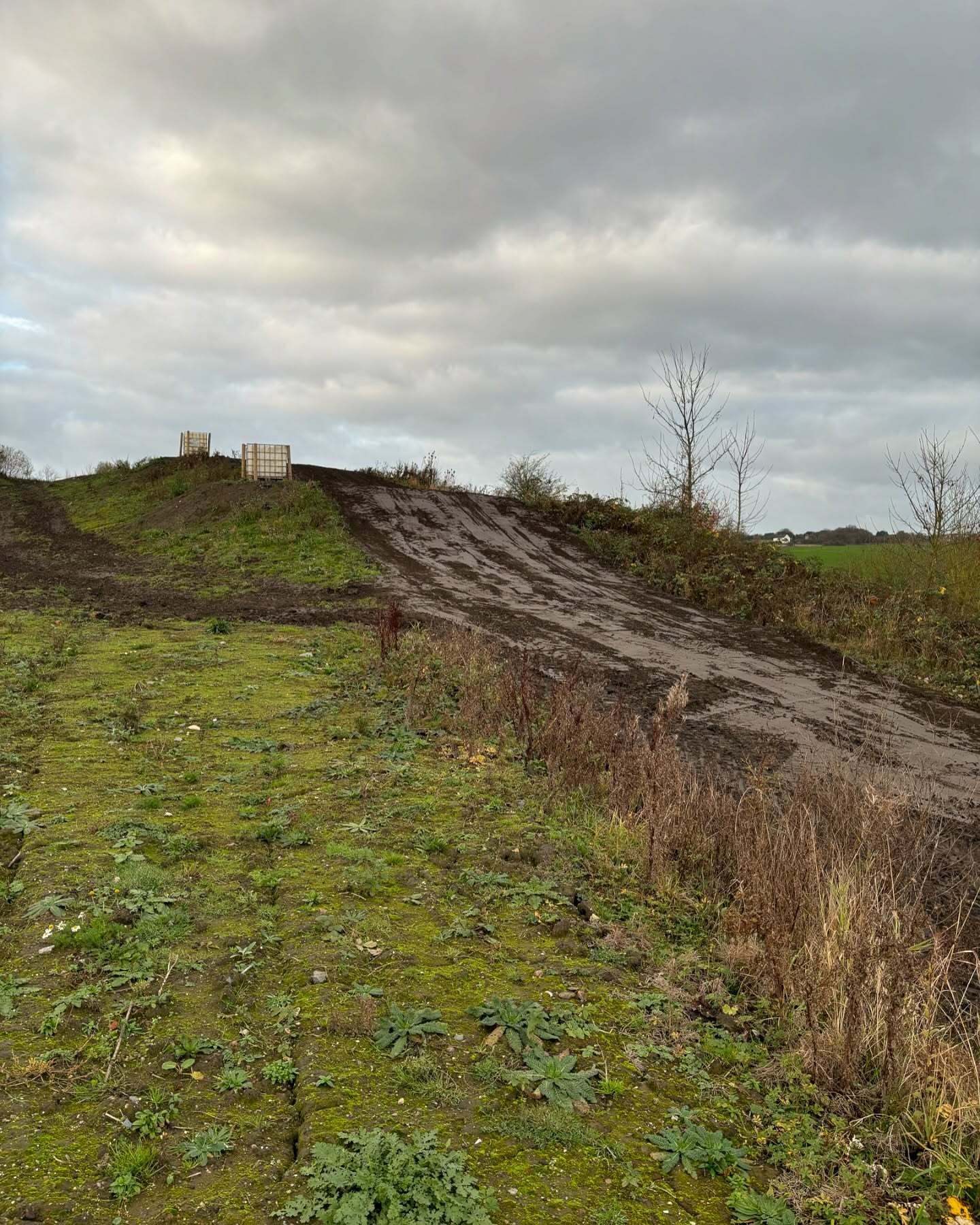 Peacocks Hey gallery image 3