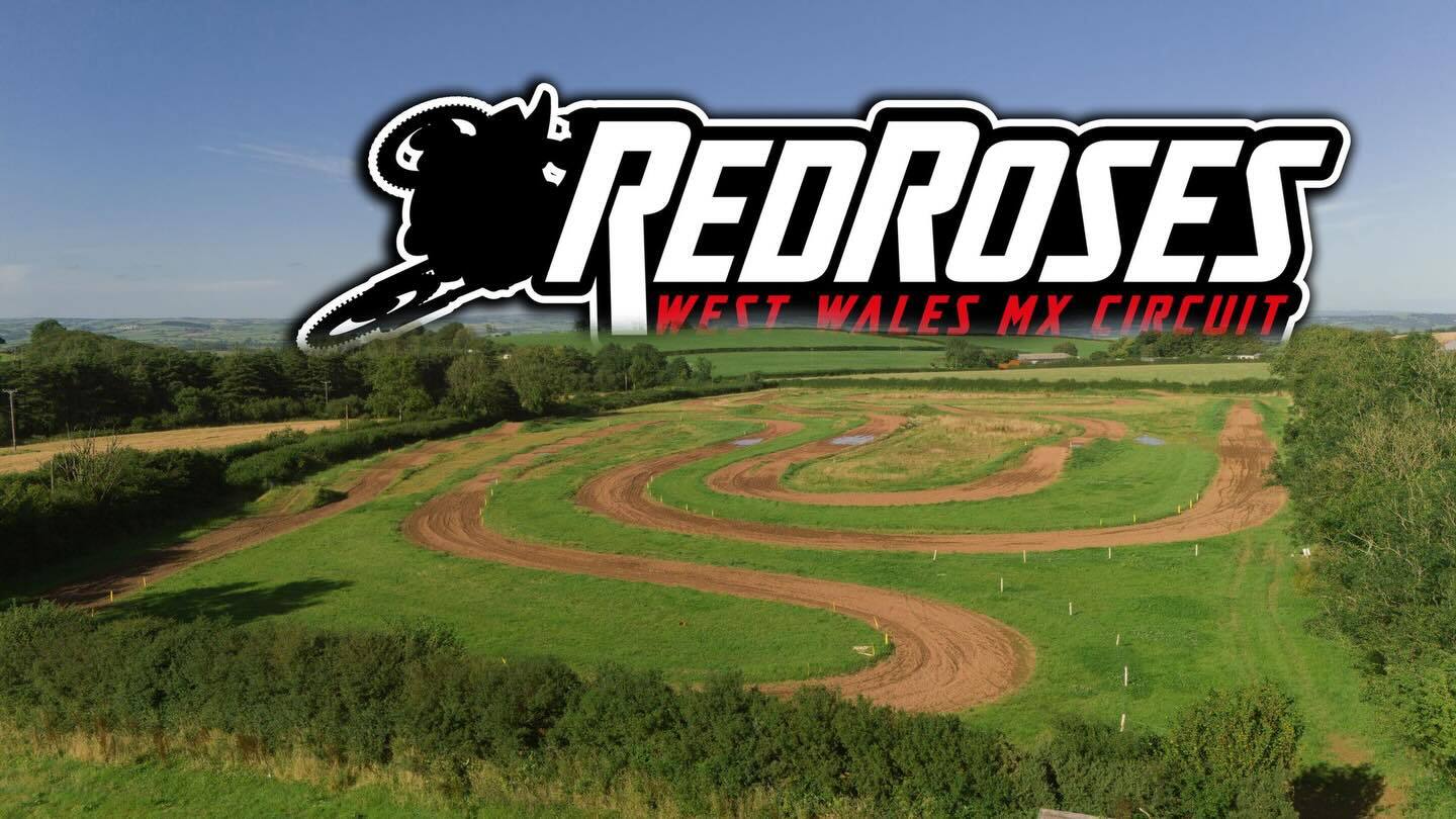 Red rose MX gallery image