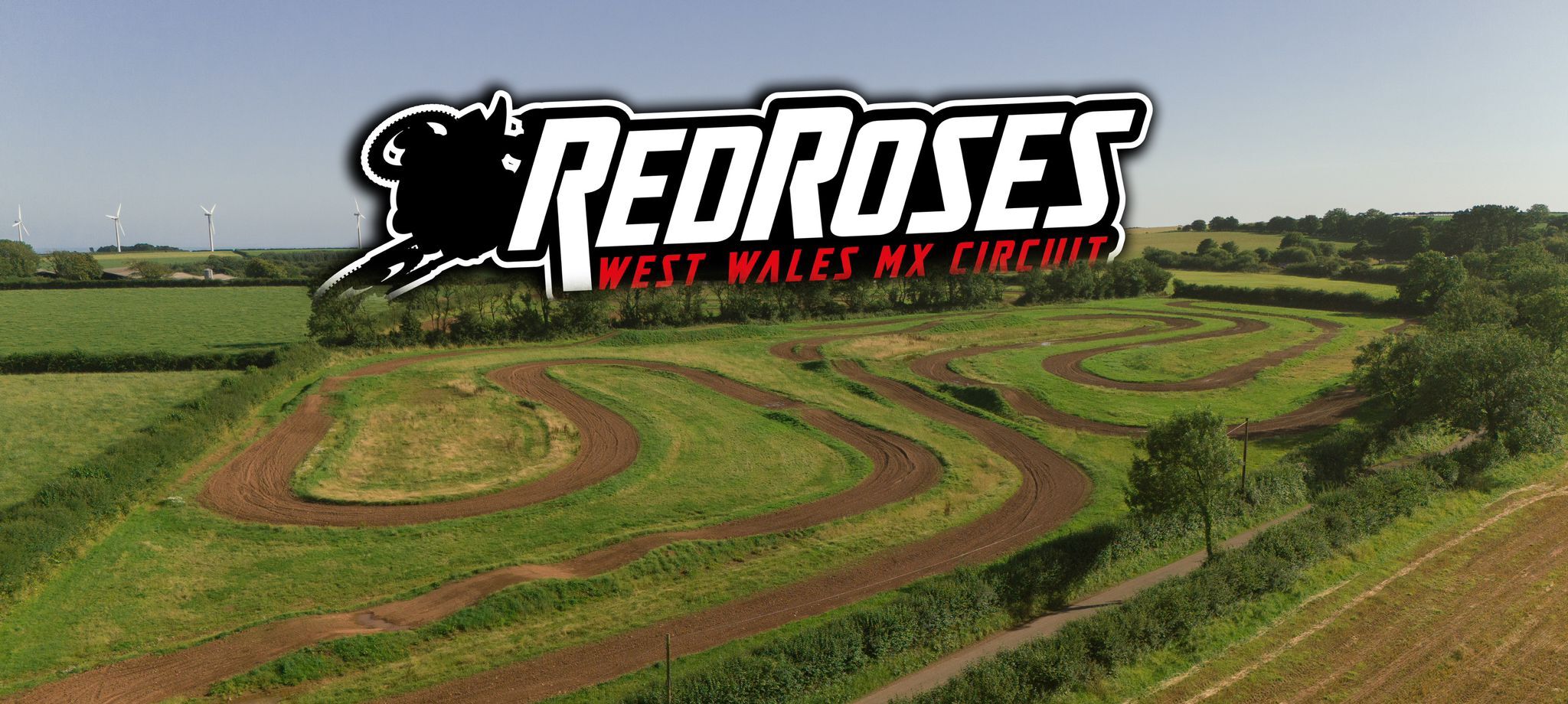 Red Roses MX gallery image 1